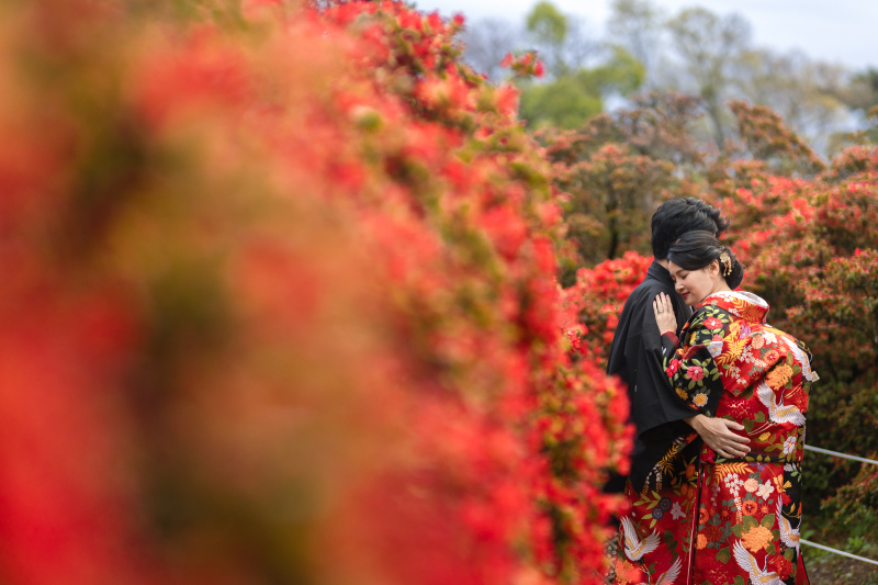 【早割秋プラン】《京都和装2点》★長岡天満宮で和装撮影★白無垢も色打掛を撮影。スタジオ撮影またはショートムービー付