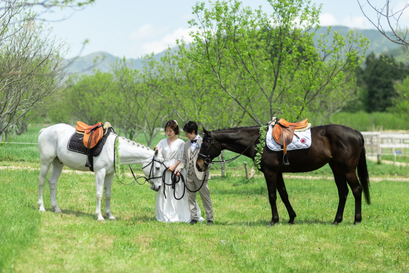 平日限定♪【メタセコイア＆お馬さん＆琵琶湖撮影】お問い合わせ多数のお馬さんとの撮影後、メタセコイア並木ロケーションフォト。