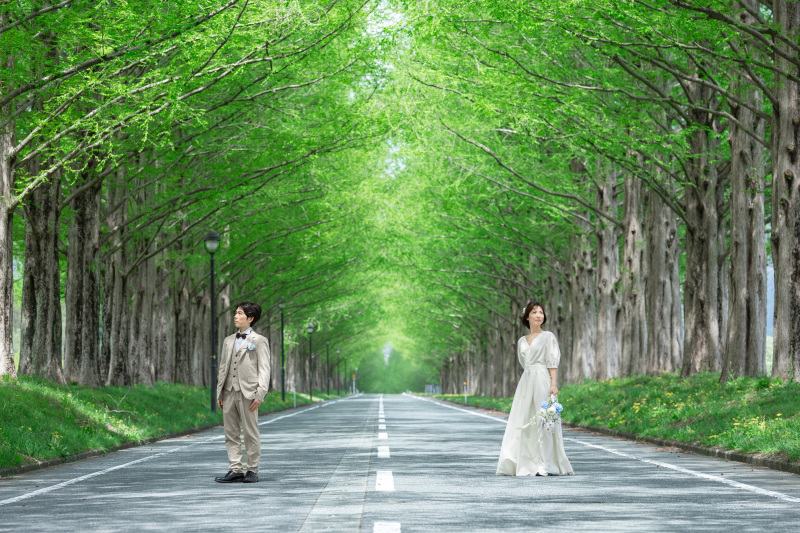 夏プラン【6/20~8/30の撮影日】【メタセコイア洋装1点】マキノ町メタセコイア並木道でのロケーション撮影後スタジオ撮影も