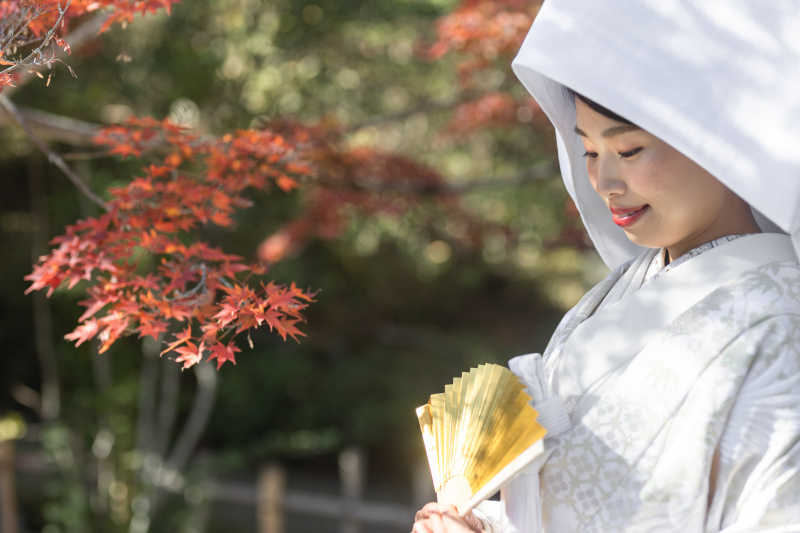 【京都和装2点+琵琶湖ビーチロケ】《和装2点+洋装》秋の京都で和装撮影|600カット|wacoyaの充実プランを限界価格継続で★