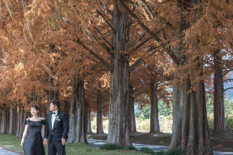 《メタセコイア+琵琶湖洋装1着》★早割10,000円OFF★10/1~12/31の撮影日★秋のメタセコイアと琵琶湖の2ロケプラン