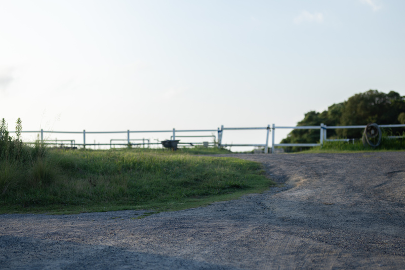new!【淡路島】ワンちゃんと★淡路島の貸し切り宿でロケーションフォトウェディング。明石海峡大橋やサンセットポイントでも撮影可能