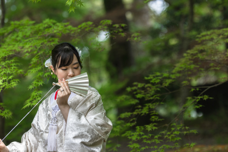 【京都和装】《和装二点》白無垢&色打掛和装2点プラン京都でも人も少なく貸し切りロケも可能。紅葉シーズンもまだ間に合います★