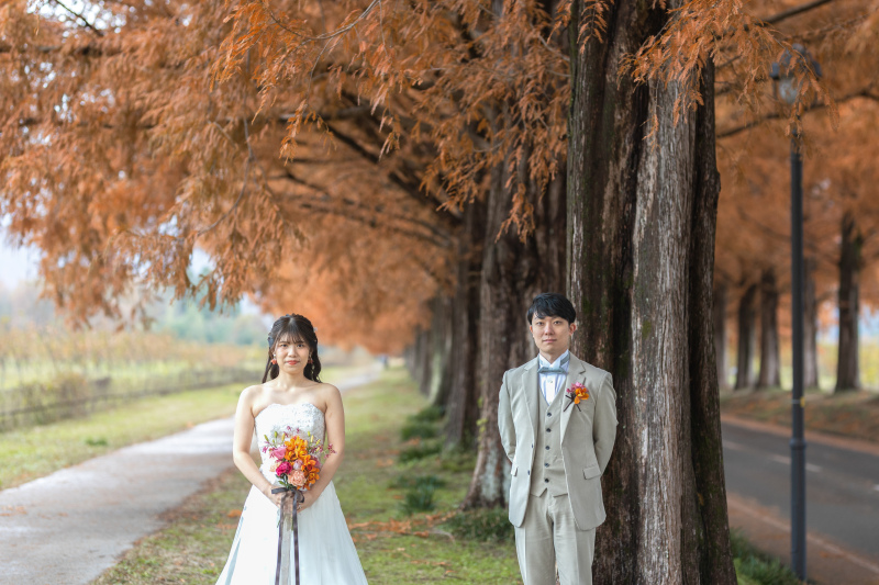 【直前割最安値】◎9月末までの撮影日◎《メタセコイア洋1》3キロ続くマキノ町メタセコイアでのロケーションフォト★