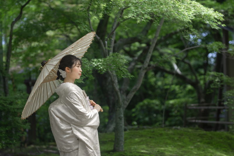 【京都和装1点プラン】《和装1点》最短納品一週間250カット保証|桜シーズンも通常価格でご案内。白無垢も色打掛も引き振袖もOK