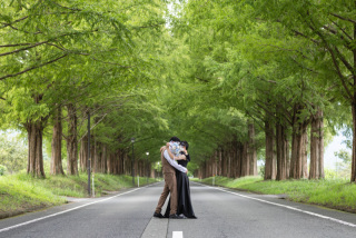 四季折々美しいマキノ町メタセコイア並木。紅葉シーズン以外は人も少なく貸し切り撮影も可能★スタジオ撮影とヘアメイクもつけてのご案内