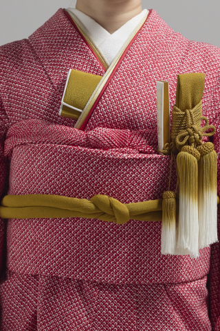 掛下コーディネート赤　重衿ベージュ金2