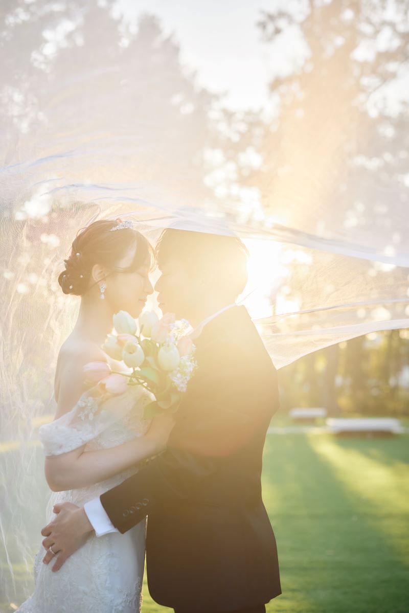 光の魔法にかけられて