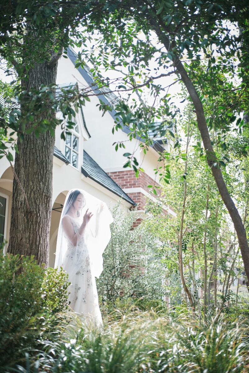 韓国フォトの世界観