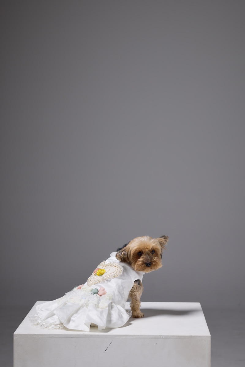 可愛いお洋服を着て一緒に撮影！