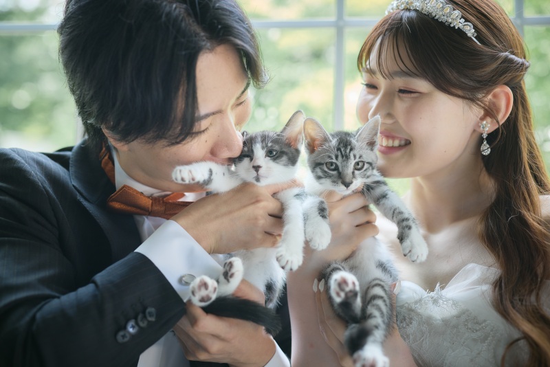 Studio Merlin_ペットと一緒に撮影できる