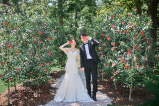 Studio Merlin_【ドレス】スタジオガーデン