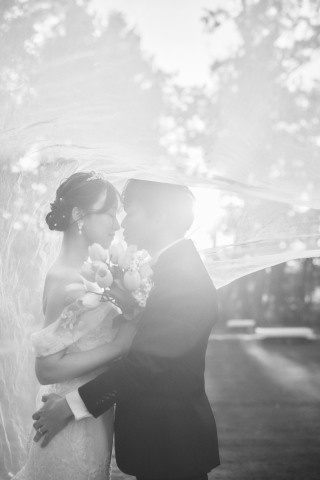 Studio Merlin_★ pickup photo ★カメラマン厳選写真