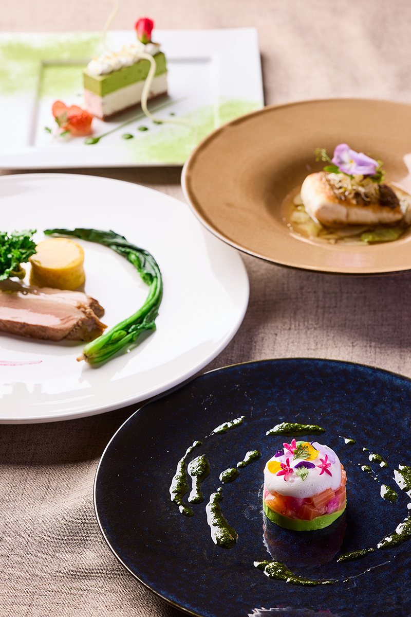 撮影会食プラン【6名様】