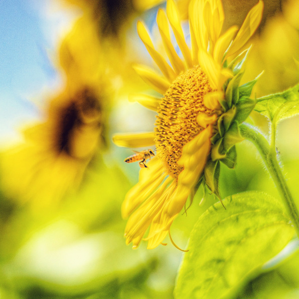 普段は風景写真もたくさん撮影してます(^^)/