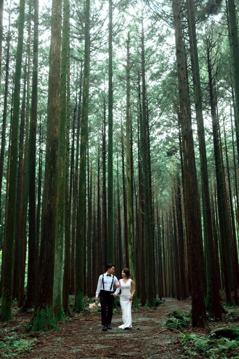 木々に囲まれて