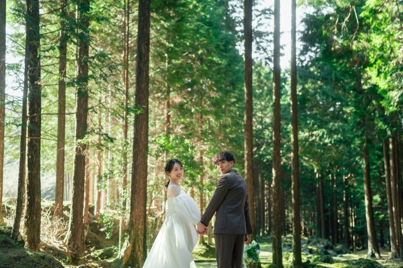 木々に囲まれて