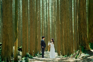 木々に囲まれてーーウェディングフォト