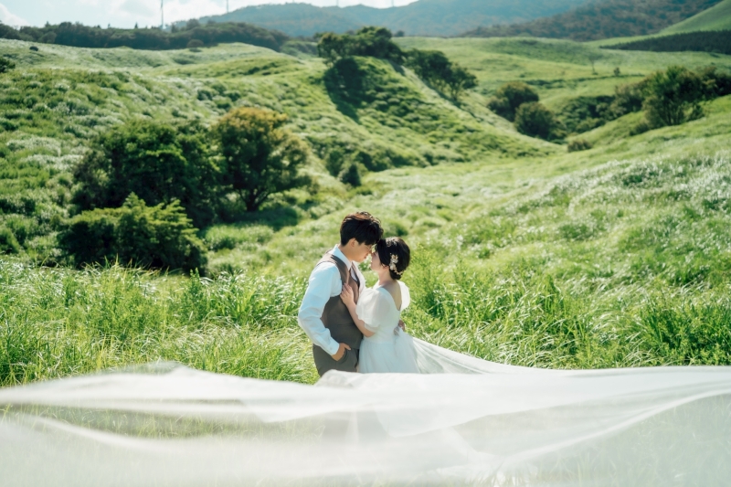 夏の大草原とウェデイングフォト