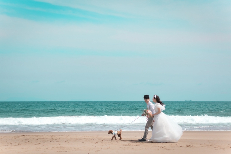 ワンちゃんも一緒に♪