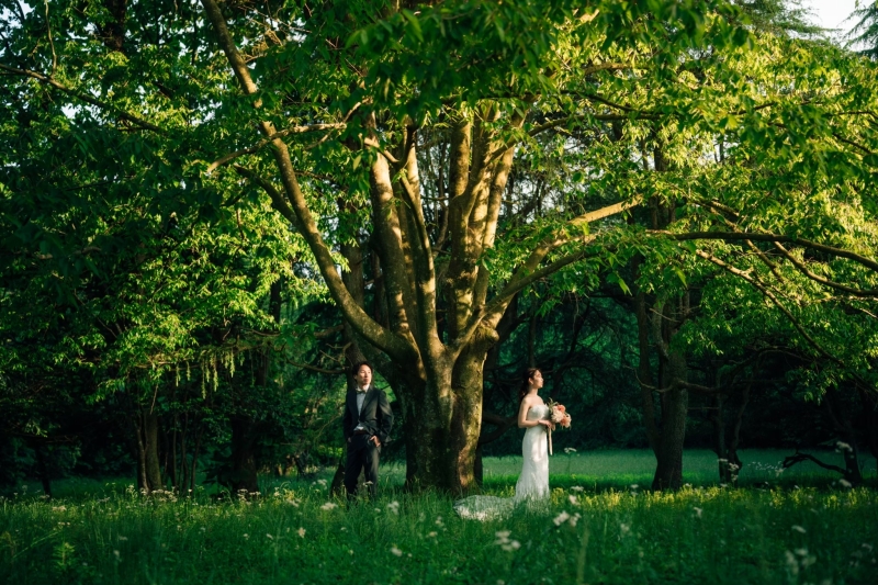 絵画のような一枚