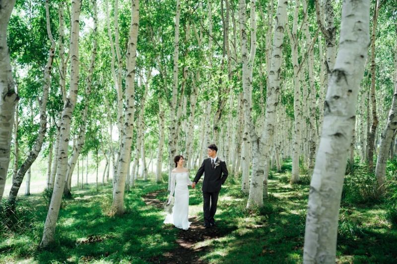 北海道自慢の白樺で