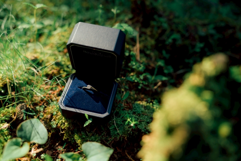 こんなソロショットも