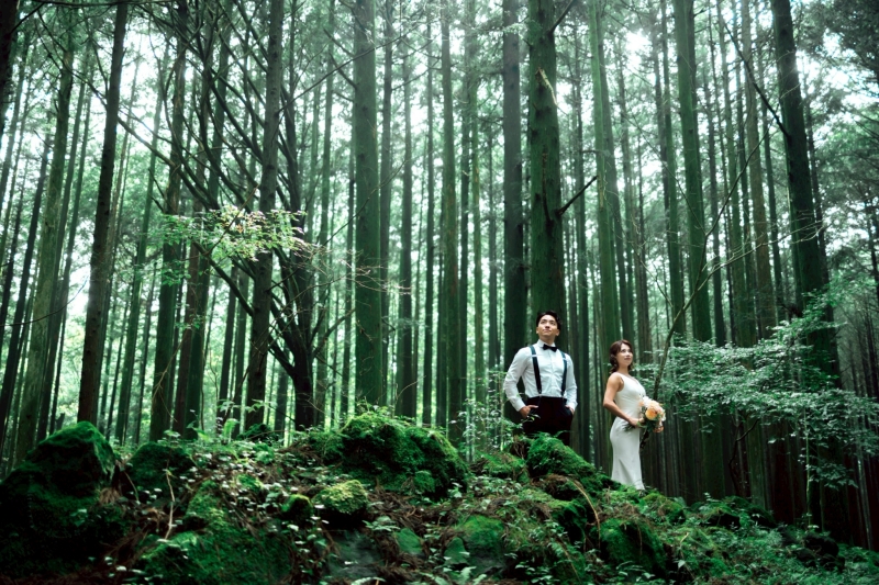 深緑に囲まれて