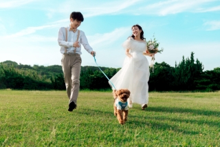 愛犬とめぐる伊豆周遊フォトウェディング