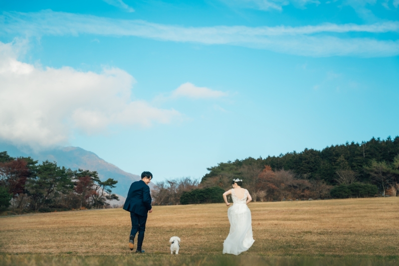 普段の散歩も今日は特別感