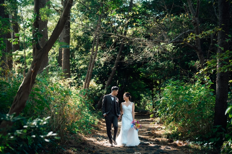 美しい光が差す森でシックな雰囲気に