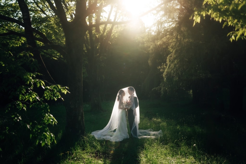 最後は夕日が差し込む森の中で