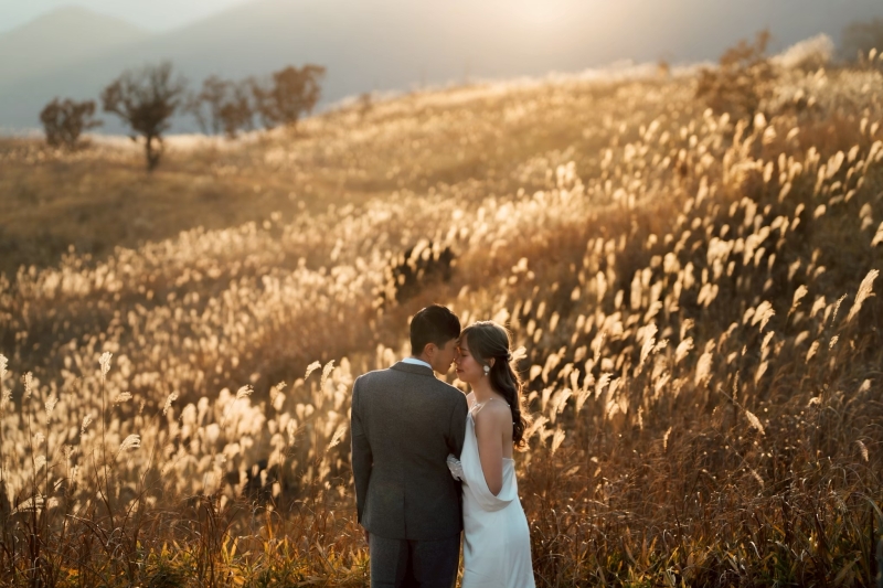 ススキに包まれて