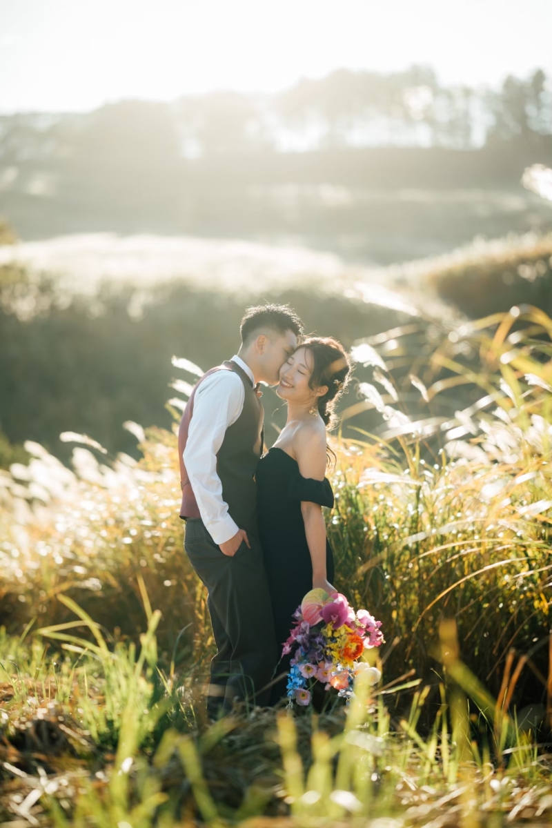 黄金色に輝くススキと柔らかい夕日で