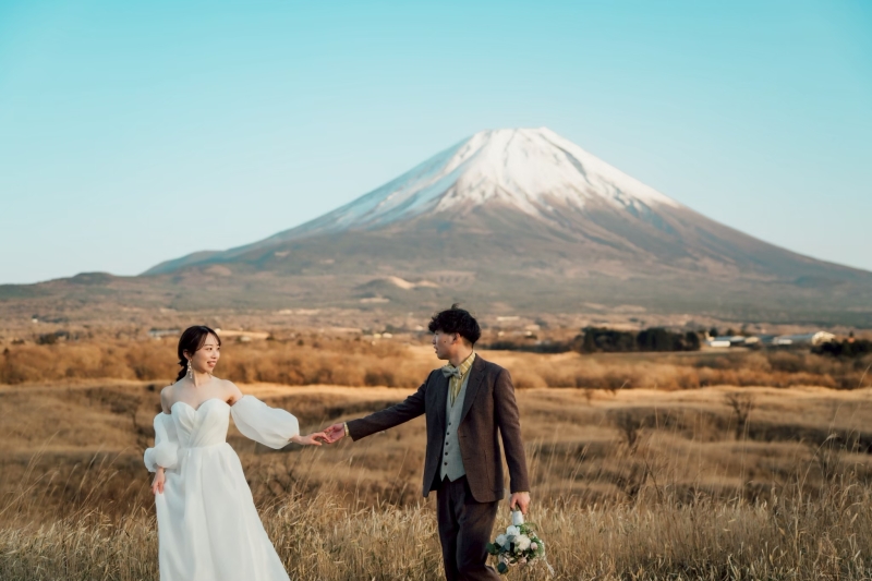 静岡といえば、、、