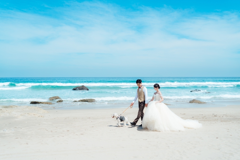 【ワンちゃんと一緒に】大切なペットと一緒にドレス付きペットフレンドリーフォトプラン!♢ヘアメイクアテンド/データ80カット