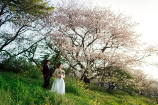 【季節限定】河津桜+菜の花で春を先取り♪季節を感じるフォト150カット撮影プラン(全プラン組み合わせ対応可能)