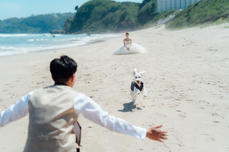 【ワンちゃんと一緒に】大切なペットと一緒に撮影するペットフレンドリーフォトプラン!♢ヘアメイクアテンド/データ80カット