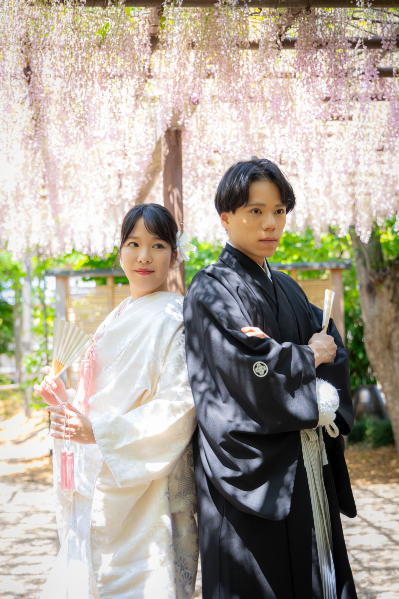清々しい光が差し込む藤棚の中