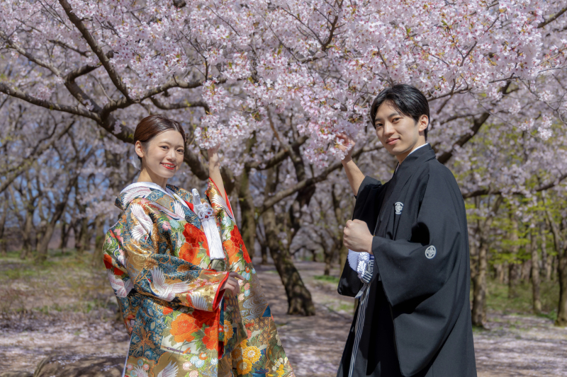 桜との撮影がしやすいスポット