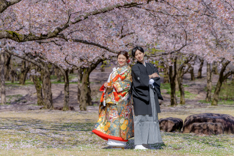 和の装いにチェンジして桜の木の下