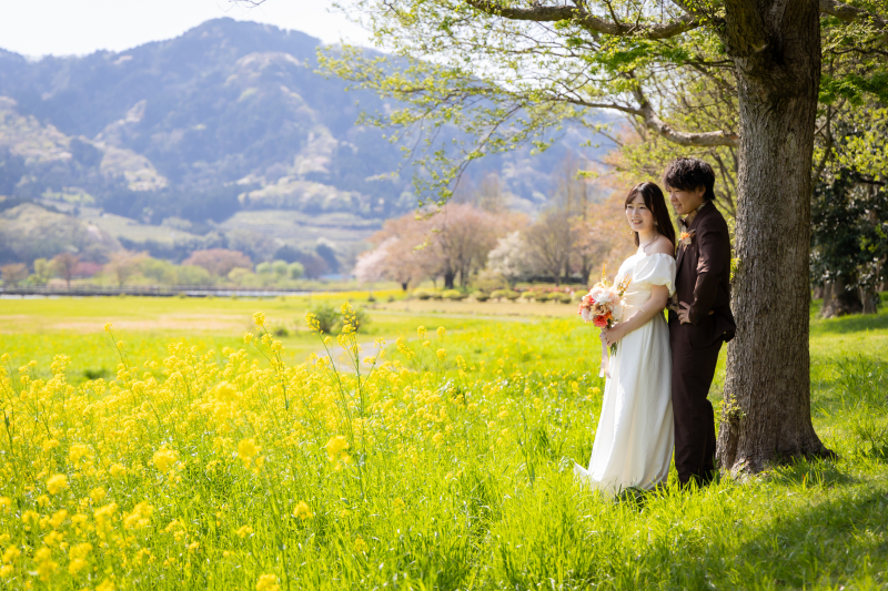 一面の菜の花畑と広大な自然が写真映え◎
