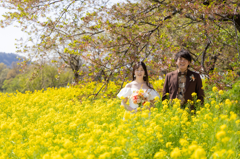 【土日祝UP料金なし】お好きな新潟市内の桜スポット等へ《洋装ロケ撮影/データ★アルバム&市内出張・交通費付》