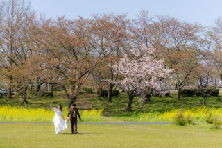 【土日祝UP料金なし】お好きな新潟市内の桜スポット等へ《和装・洋装ロケ＆スタジオ撮影／データ★市内出張・交通費付》