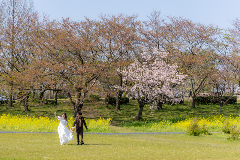 【土日祝UP料金なし】お好きな新潟市内の桜スポットへ《和装・洋装ロケ＆スタジオ撮影／データ★市内出張・交通費付》