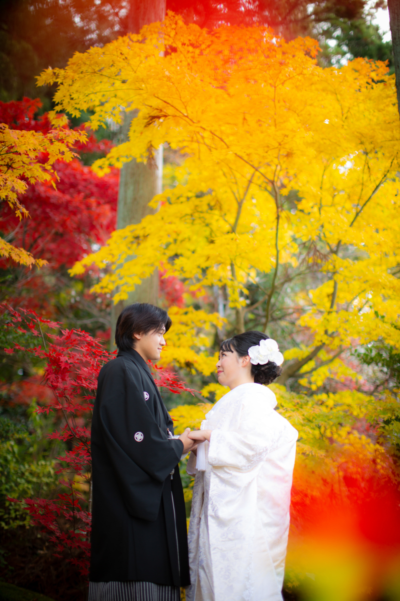 \秋のBIGキャンペーン/10・11月撮影限定*5組《和装スタジオ&ロケ撮影/デザインアルバム付》¥33,000OFF!