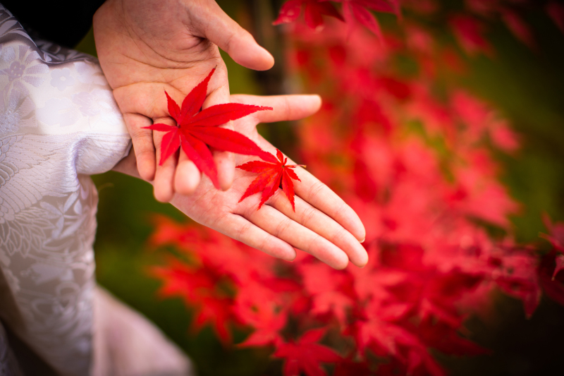 輝く今をさらに美しく残したい♪【気になる肌質などのお悩みに!全カット美肌補正レタッチ付き 】お好きな和装+データ50カット
