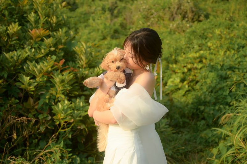 大切な愛犬と