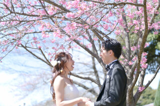 一年を通してほんの一瞬を逃がさず桜と一緒に