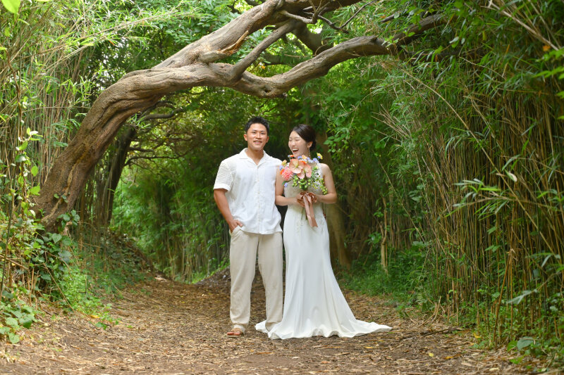 城ヶ島での撮影スケジュール (夏期)